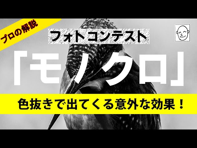 「色彩が鮮やかな被写体の写真をなぜモノクロにするのか？」一般的にはそう考える人は多いが、実はモノクロ写真の効果として「色彩の情報を抜いて、逆に見る側に色やイメージを想像させる」というものがあるのをご存じだろうか？

今回はフォトコンテストで入賞する作品にモノクロ写真が多い理由の一つとして「モノクロと色の再現性」をテーマに、プロ写真家の鈴木サトルが解説。作例を交えながら実演に「色彩を意図したモノクロレタッチ」仕上げもご紹介します！

~今回のお題~
モノクロなのに色が見えてくる！
🎈色を抜いて色を感じさせる！？
🎈不完全を補おうとする「補完」能力！
🎈単純なモノクロ化ではダメ！
🎈奥深い、ニクイ手法で攻める！
🎈見る側に心地よさを与える！

使用ソフト：Lightroom Classic（Windows11）RAW現像

写真家、鈴木サトル（月刊誌フォトコン2023年度初級自由部審査員、EPSONエプサイトプレミアム講師出演、 キヤノンギャラリー銀座にて個展「フクザツ」開催）

【目次】
00:00 モノクロなのに色が！？
00:59 今回のいきさつとは？
03:02 色彩がないだけじゃない！
04:14 色彩を想像させるとは？
06:10テクニックとセンス！
06:50 レタッチしてみましょう！
09:24 見比べてみましょう！
10:05 深みと想像性の作品
10:32 色を捨てる効果！

★プロによる解説！【フォトコンテスト！写真の見せ方・考え方】講評会＆レタッチ「こうするとイイよ♪」
https://youtu.be/p8ZTUNnIZWY

★Short動画【フォトコンテストで通用するレタッチ】この写真がこうなった！
https://youtube.com/shorts/fLnbmNSAjg0

★鈴木サトルのWebサイト　
SATORU SUZUKI　http://ucsc-ui.com/

★写真集「フクザツ」（日本写真企画）
https://ucsc.base.shop/

★写真集「奈落」（日本写真企画）
https://ucsc.base.shop/

★GOODタイトルはこう付ける！[フォトコン別冊]（日本写真企画）
https://photo-con.net/SHOP/06-25.html

各SNSはこちらにまとめてあります！！
https://lit.link/satorusuzuki

#フォトコンテスト #モノクロ写真 #レタッチ #写真教室 #lightroom #カメラ #サトルの動画  #鈴木サトル #フォトレッスン #カワセミ  #写真編集 #写真初心者 #写真家  #スナップ写真