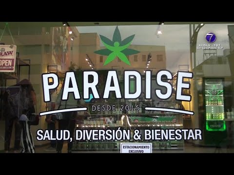 En SLP fue inaugurada Paradise Shop, cadena especializada en productos relacionados y derivados de..