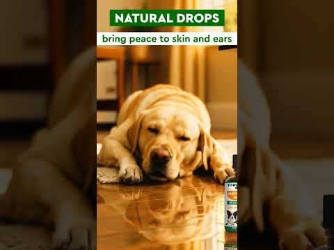 Say goodbye to the spooky itch! #halloween #disney #healthypets