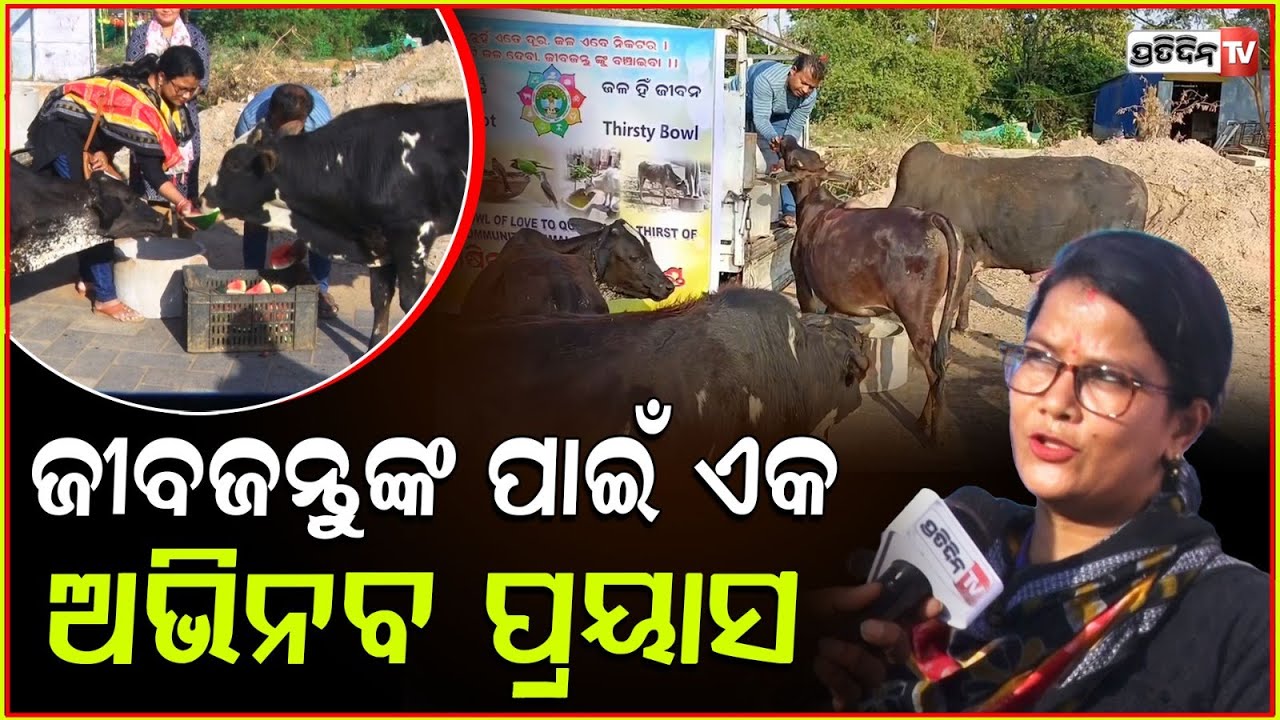 ଜୀବଜନ୍ତୁଙ୍କ ପାଇଁ ଏକ ଅଭିନବ ପ୍ରୟାସ "ଶୋଷିଲାଙ୍କ ପାଇଁ ପାଣିକୁଣ୍ଡ" | Watershed Has Opened For Animals,BBSR.