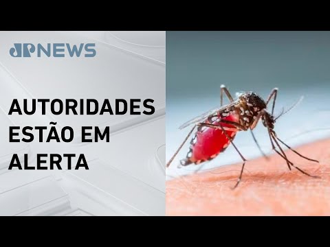 Rio de Janeiro registra primeiro caso de dengue tipo 3 desde 2007