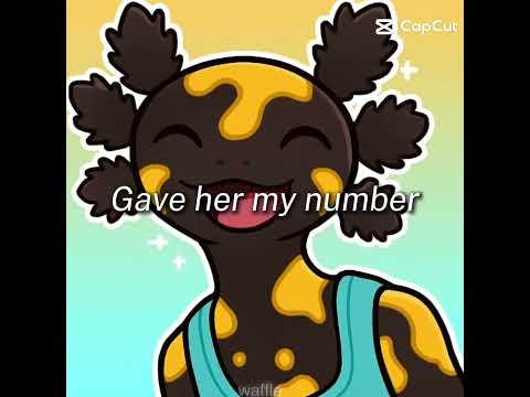 Moi je dit un énorme MERCI a chatGPT pour tout les axolotl 🤩