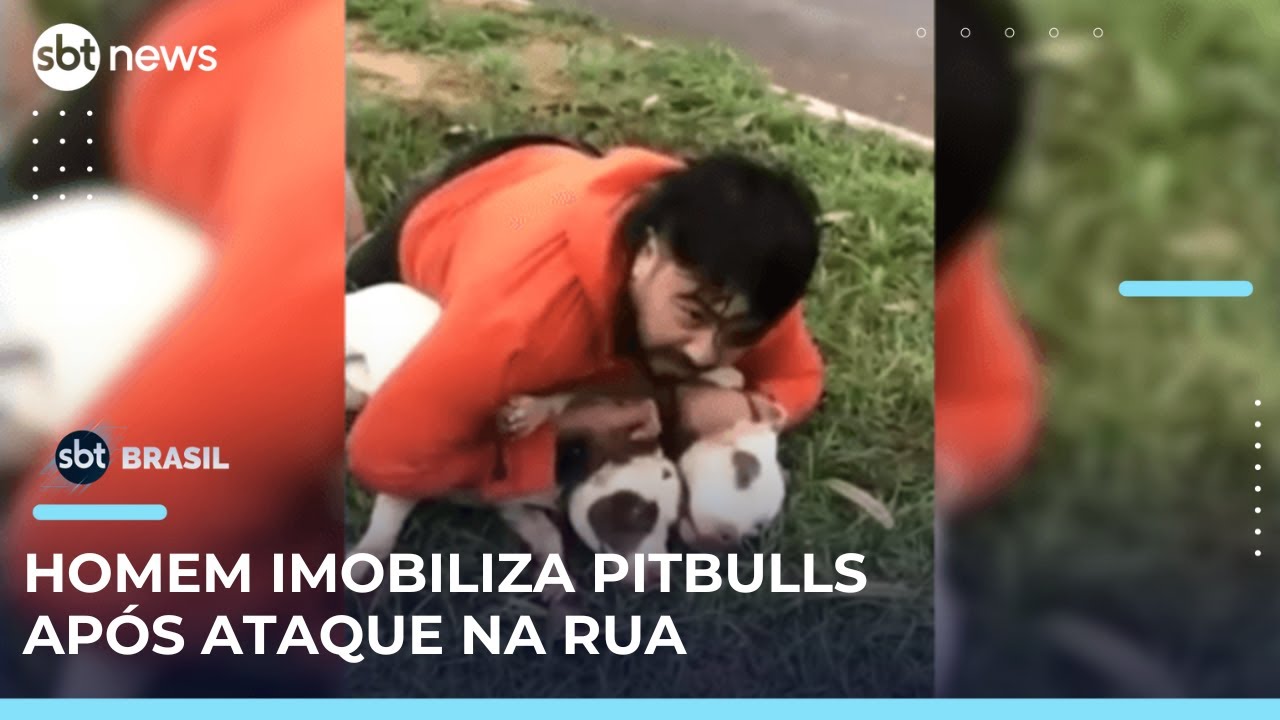 Homem usa técnicas de muay thai para conter dois pitbulls em ataque | SBTBrasil