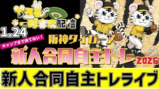 【 阪神 新人合同自主トレ LIVE 】 1/24 阪神タイガース 新人合同自主トレ 2026 新人自主トレをみんなで一緒に応援ライブ #全