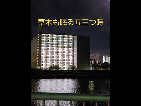 深夜に人々が寝静まってからこっそり散歩に出かけるゴールデンレトリバーの親子 #goldenretriever#大型犬のいる生活 #ibukikohaku #癒し#ゴールデンレトリバー #shorts サムネイル