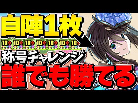【17分】自軍ナツル1枚で億兆チャレンジ攻略！誰でも勝てます！代用、立ち回り解説も！【パズドラ】