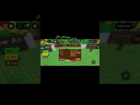 فوز ام خساره