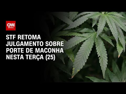 STF retoma julgamento sobre porte de maconha nesta terça-feira (25) | CNN NOVO DIA