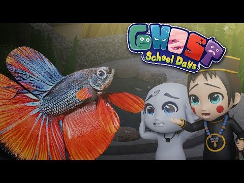 DENS & TOLE - IKAN JUMBO