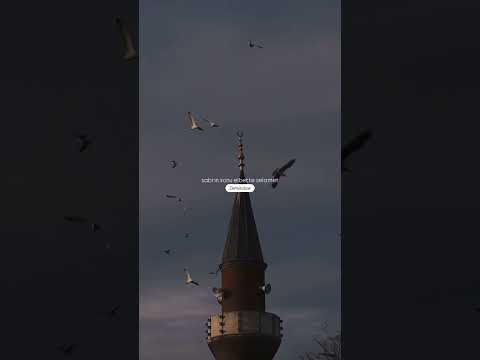 Hayrın yolu güzeldir🤲🌷 #selamet #dua #kuran #namaz #tesbih #seccade #sevap #iyilik #refah #umut #ruh