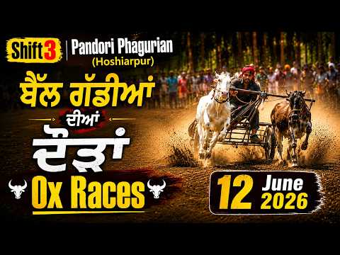 SHIFT 3 | Pandori Phagurian (Hoshiarpur) ਬੈੱਲ ਗੱਡੀਆਂ ਦੀਆਂ ਦੋਹਰੀਆਂ ਦੌੜਾਂ | Ox Races 12 June 2026