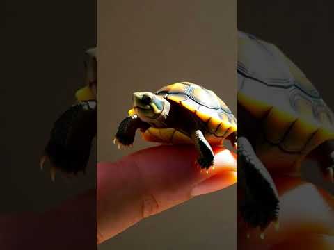 #youtubeshorts #animallife #aishorts #wildlife #hamster #animals #shortfeed #viral #ytshort