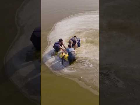 How This Nano-Bubbling System Captures Bacteria