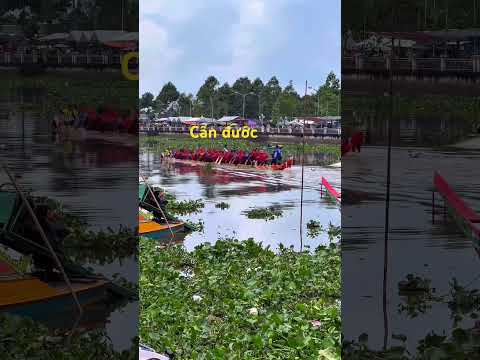 Cần đước luyện tập sông maspero