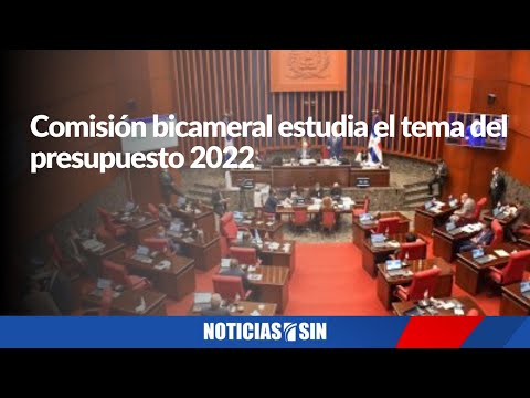 Comisión bicameral estudia el tema del presupuesto para el 2022