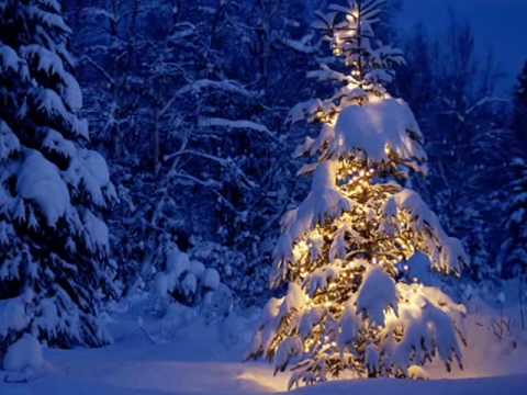 Chris Rea - Footsteps in The Snow + Driving Home For Christmas