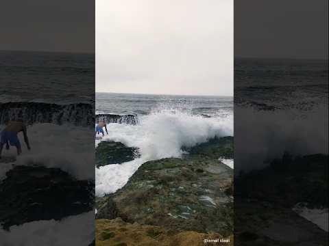 رايس ساسا حصل فالبحر @raissasa1 #fishing #viral #صيد #صيد_السمك #viralvideo #سمك #fish #اكسبلور