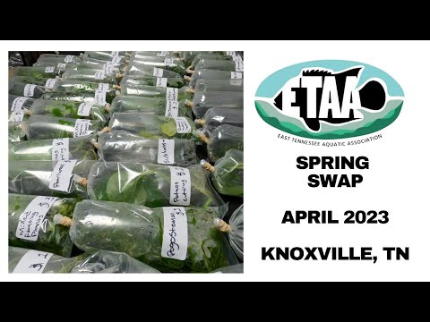 2023 #East #Tennessee #Aquatic #Association #Sprin The #East #Tennessee #Aquatic #Association held its bi-annual Spring Fish and Aquatic Plant Swap Hel