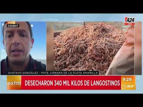 Extorsión de pesqueros por protesta sindical en chubut tiran 340 mil kilos de langostinos