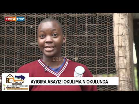 Wuuno akulira essomero ly'amajje nga si wa majje