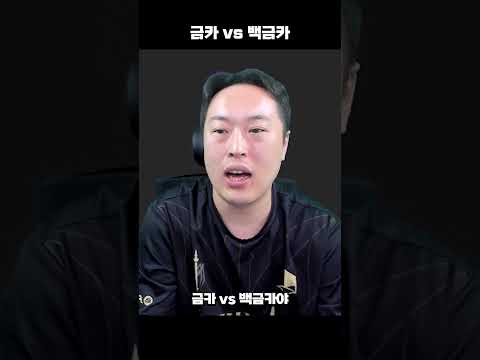 지금은 이제 금카 vs 백금카