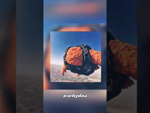 WhyDNA order flying fried chicken.#whydna