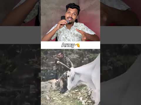 <strong>As</strong> Soon <strong>as</strong> <strong>the</strong> Soldier Saw <strong>the</strong> Cow, He Did This... 🫡