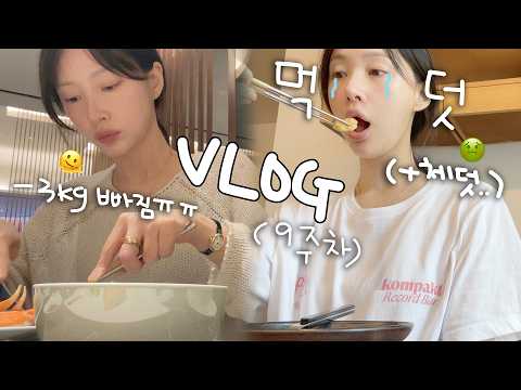 🍀(임신 9주/뷔페 뿌시기/<strong>룰루레몬</strong> 쇼핑/간장계란밥/중식파티🥢/체덧..괴로워요..../엄마 찬스/48시간 밀착 브이로그/시바견 택이)