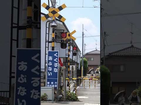 懐かしい街並みに残るミニ踏切。西武国分寺線の小さな風景🚦#踏切 #西武国分寺線 #懐かしい街並み #ミニ踏切 #住宅街の風景 #昭和レトロ #電車のある風景 #鉄道好きと繋がりたい #鉄道風景