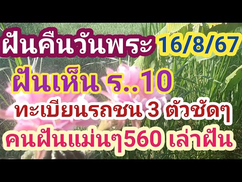 46-41เต็มๆคนฝันเเม่นๆ560ฝั