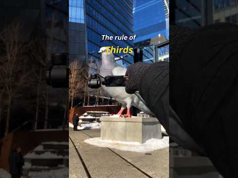 Stop centering everything!📸 ｜ Osmo Pocket 3