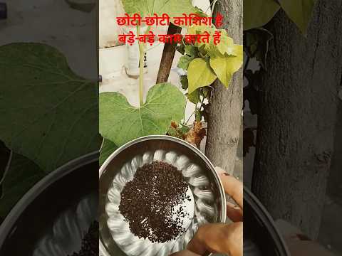 छोटी-छोटी कोशिशों के बड़े-बड़े फायदे