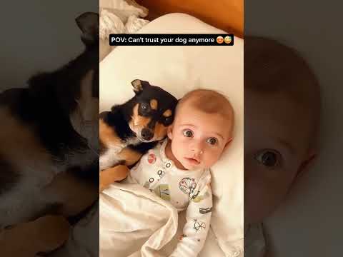 Phillies land All-Star closer Jhoan Duran ahead of MLB trade deadline 👀🔥 #JhoanDuran