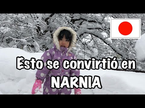 esto se convirtio en Narnia Japonesa !!!!! Que hacemos con tanta nieve"