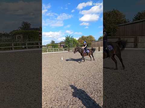 #horse #equestrianjourney #equestrian #horseriding #riding #pony