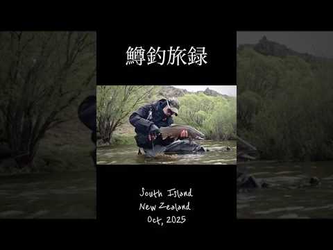 #鱒釣旅録 yotubechannel 🎥🎣South Island・ＮＺ🇳🇿南島釣行#troutfishing 渓流ベイトフィネ🇯🇵ススタイル・Oct・2025