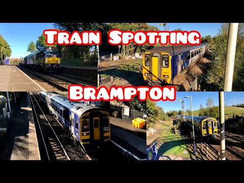 Train Spotting - Brampton