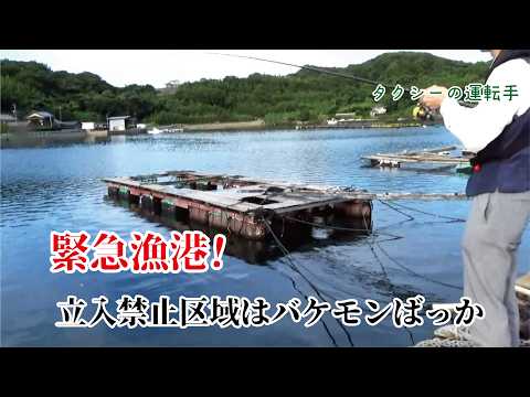 立入禁止区域の堤防は悍ましいバケモンの巣箱だけに驚きを隠せない