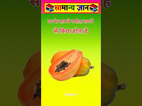 घर के सामने पपीता लगने से #viral#video#tarending
