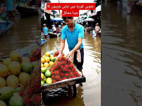 جنوبی کوریا میں سیلاب کی تباہی غریب کا جینا مشکل#trending #foryou #short