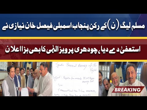 PML-N Dissident Member Punjab Assembly Faisal Niazi Resigns | Dunya News