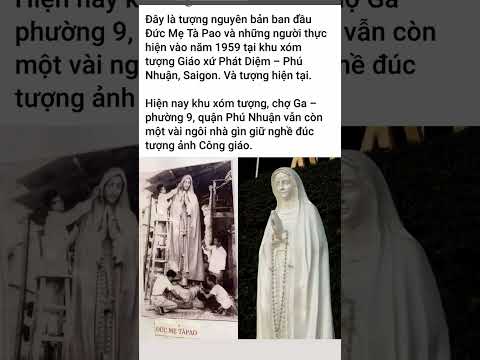 Ave Maria Con Dâng Lời Chào Mẹ #caunguyen #maria #nhacthanhca #shortvideo #short