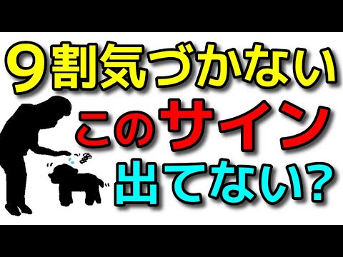 【犬 しつけ】その褒め方実は避けているかもしれません!犬のしつけエマチャンネル【犬のしつけ@横浜】