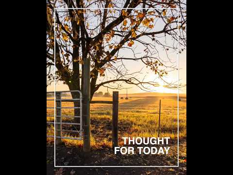 Our Rewarder