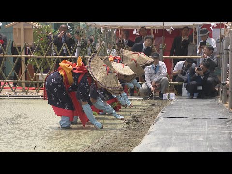 新嘗祭に香川県から献上する米の田植え　高松市