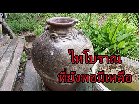 โอ่งโบราณมีหูหาดูไ้ด้ยากแล้ว โอ่งโบราณมีหูหาดูไ้ด้ยากแล้ว