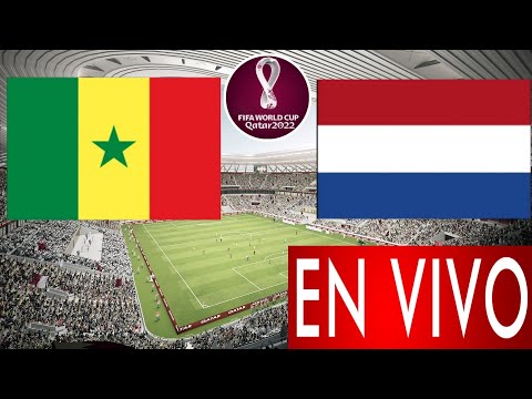 Senegal vs. Países Bajos en vivo, donde ver, a que hora juega Senegal vs. Países Bajos Mundial 2022