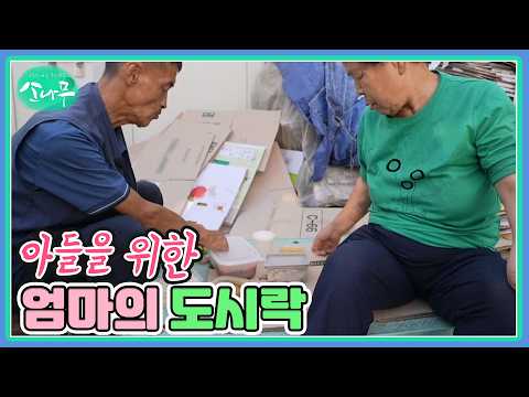 아들을 위한 엄마의 도시락 <strong>MBN</strong> 261024 <strong>방송</strong>