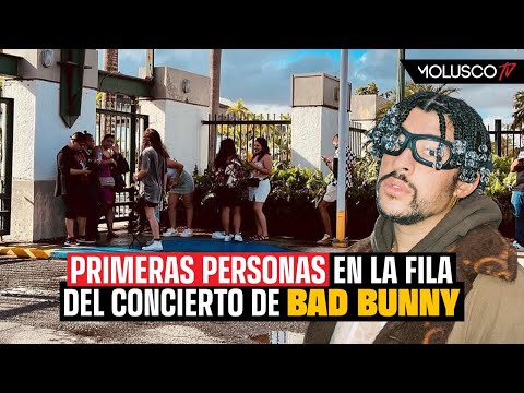 Fanaticos viajan de todo el mundo para ver el concierto de Bad Bunny