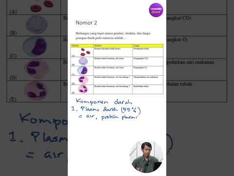 TKA Biologi Gak Sesulit Itu! Nih Trik Cepatnya 👇